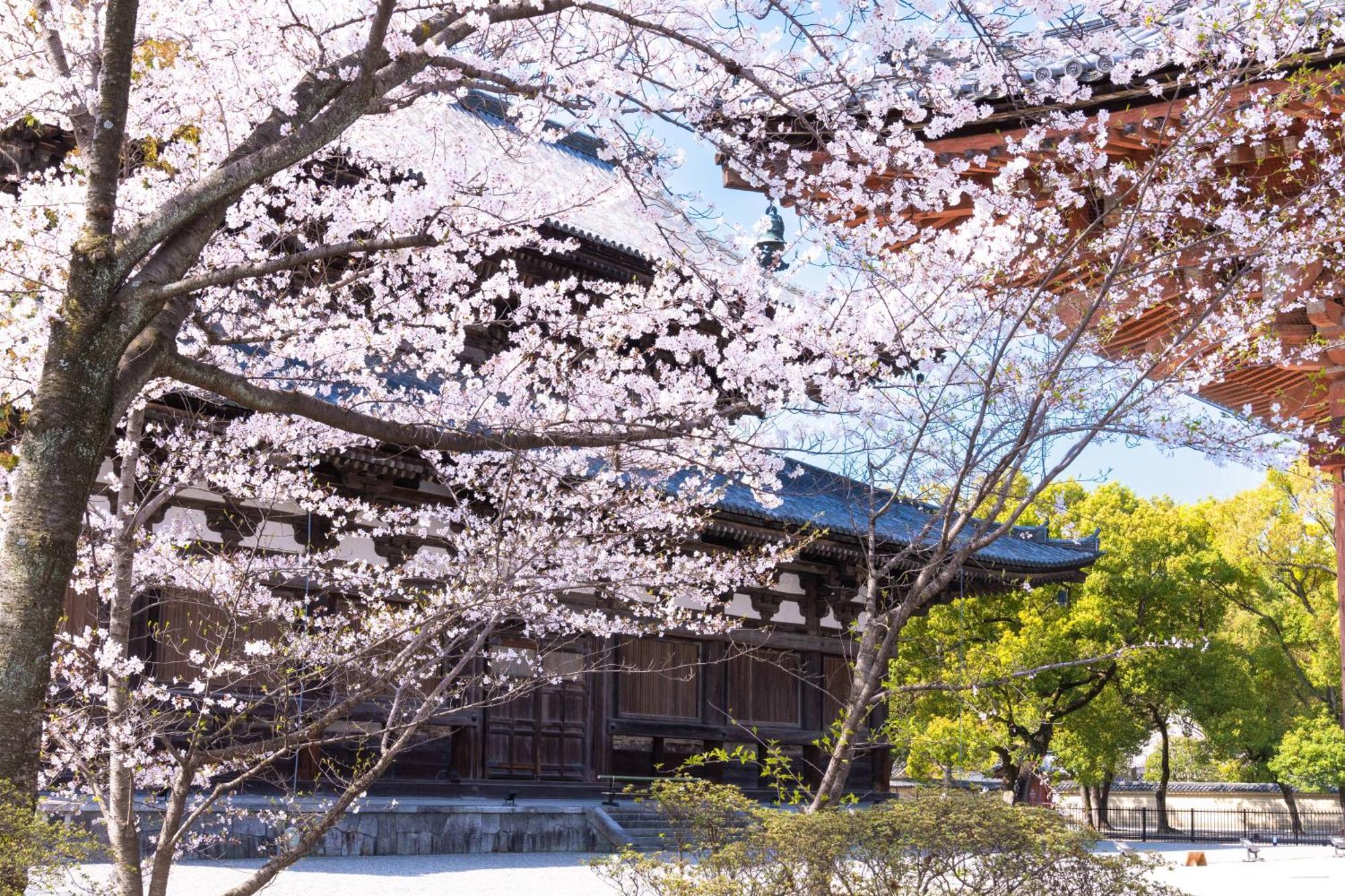 Omo3 Toji By Hoshino 3* Kyōto